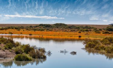  Namakwaland en Weskus Blomme Toer: 7-15 September 2025